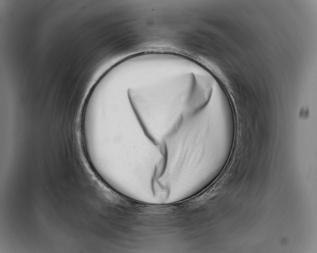 X0000099541440200806061444