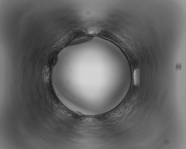 X0000099541443200806061444