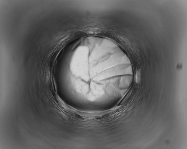 X0000099541444200806061444