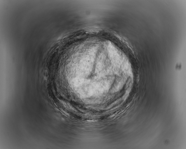 X0000099541445200806061444