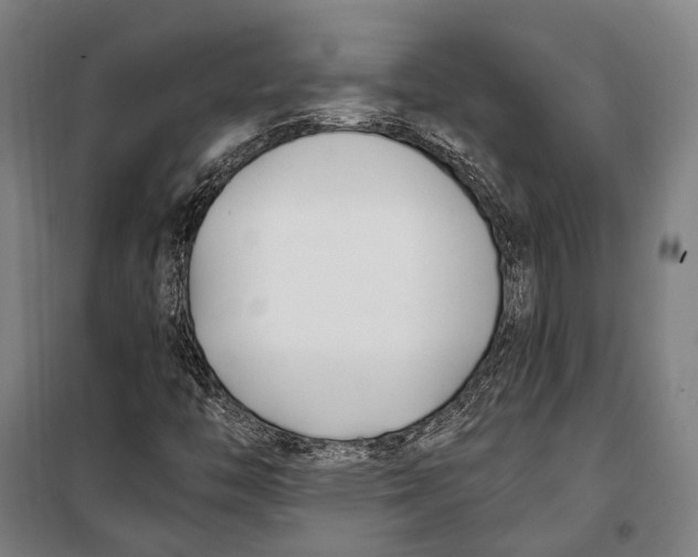 X0000099541446200806061444