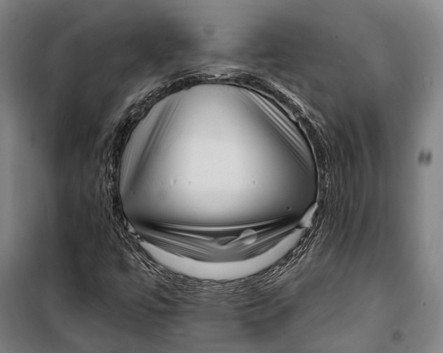 X0000099541447200806061444