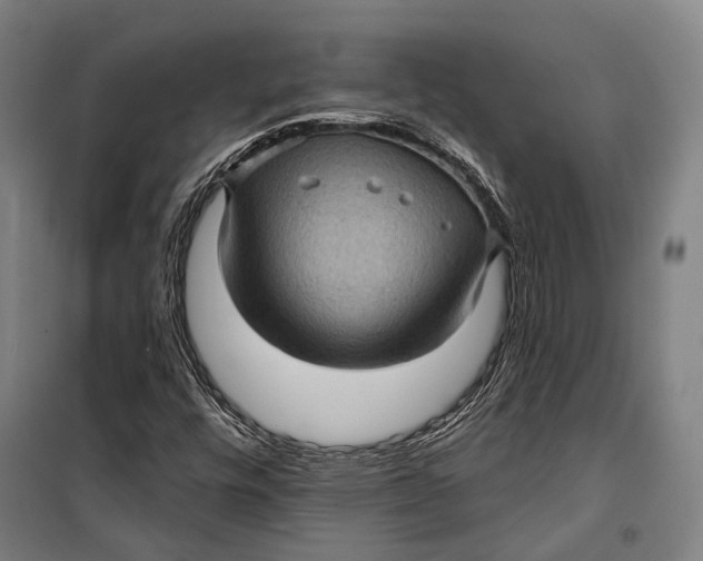 X0000099541448200806061444