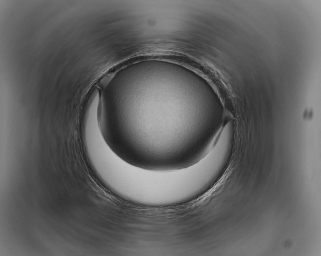 X0000099541449200806061444