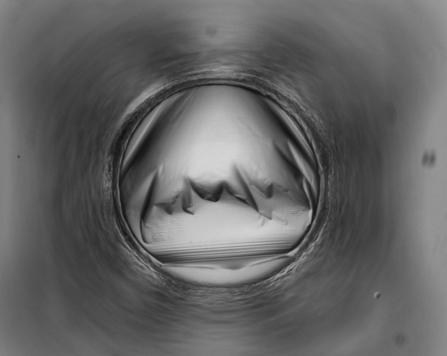 X0000099541450200806061444