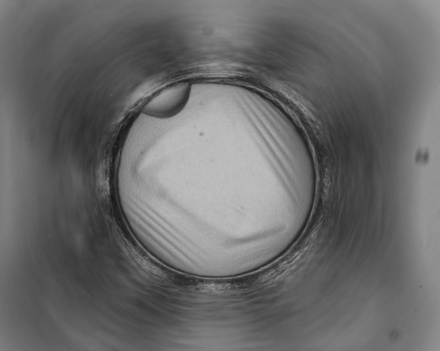 X0000099541451200806061444