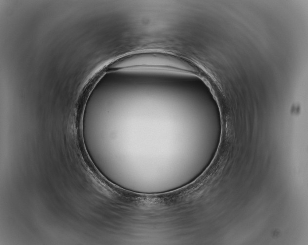 X0000099541452200806061444