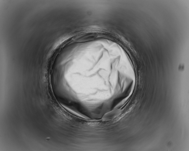 X0000099541453200806061444