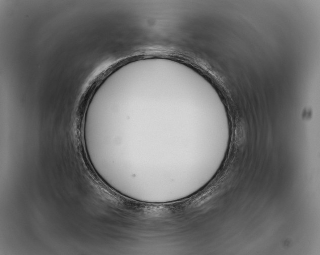 X0000099541454200806061444