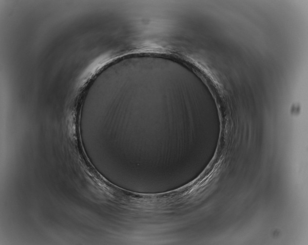 X0000099541455200806061444