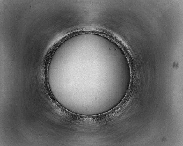 X0000099541456200806061444