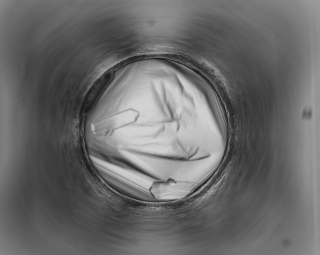 X0000099541457200806061444