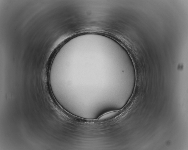 X0000099541458200806061444