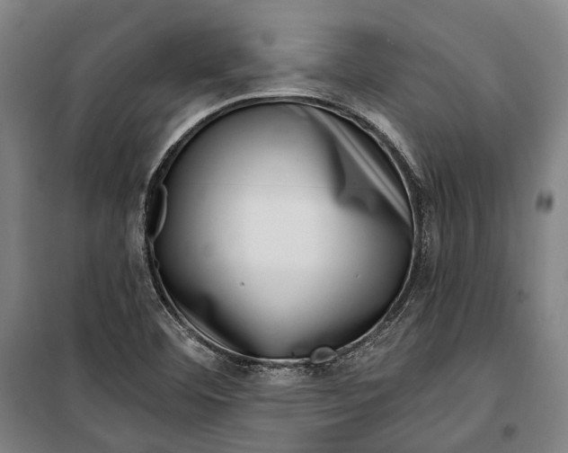 X0000099541460200806061443