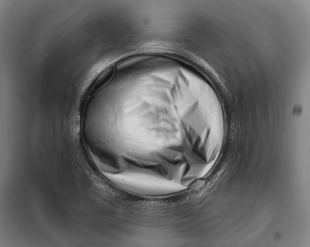 X0000099541461200806061443