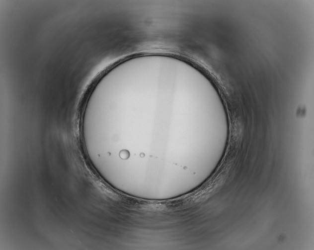 X0000099541462200806061443