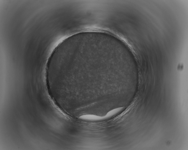 X0000099541463200806061443