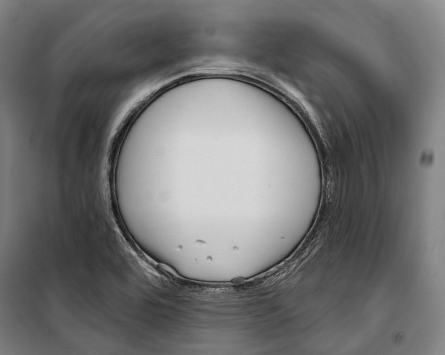 X0000099541464200806061443