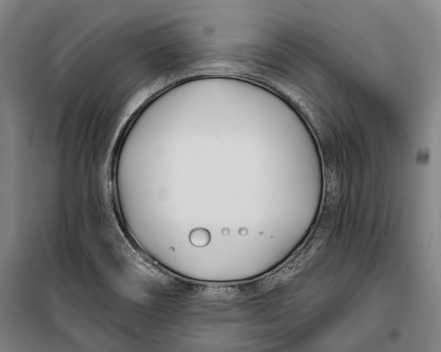 X0000099541466200806061443