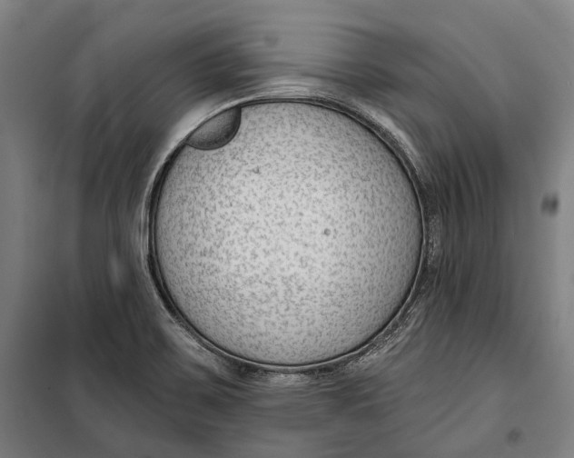 X0000099541467200806061443