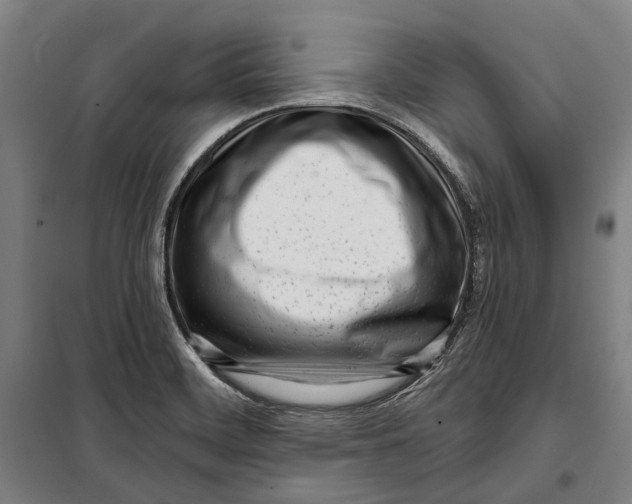 X0000099541468200806061443