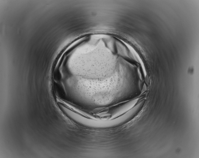 X0000099541469200806061443