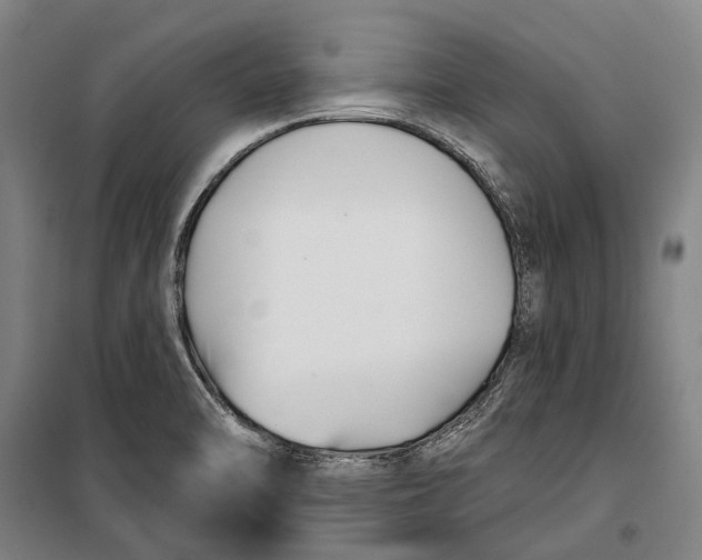 X0000099541470200806061443