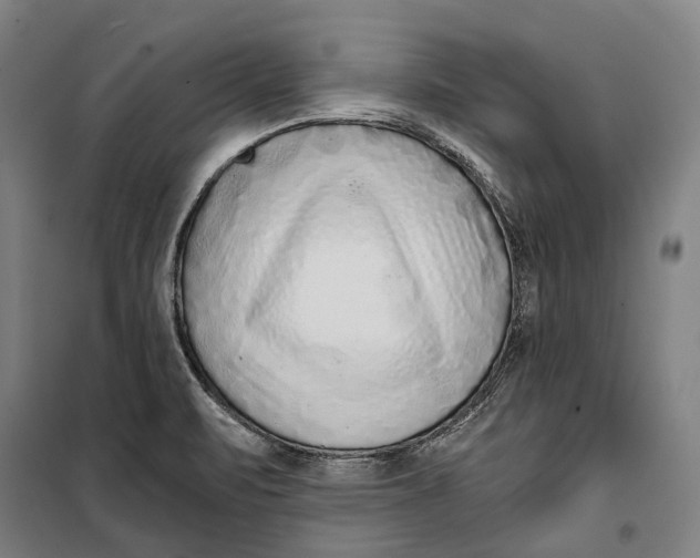 X0000099541471200806061443