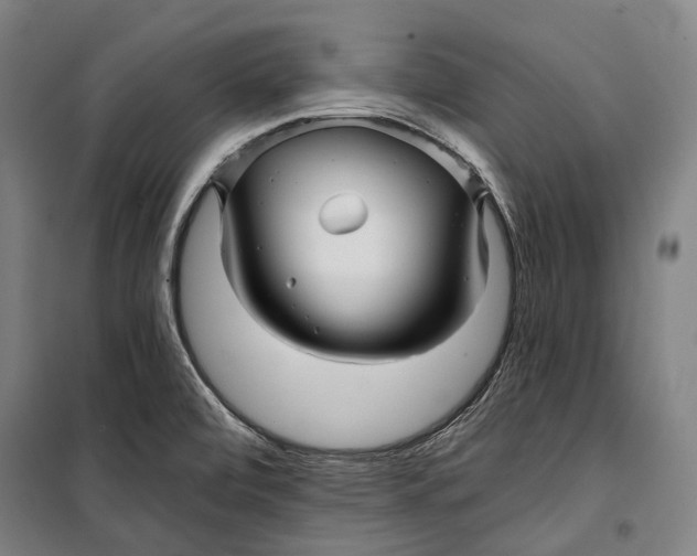 X0000099541472200806061443