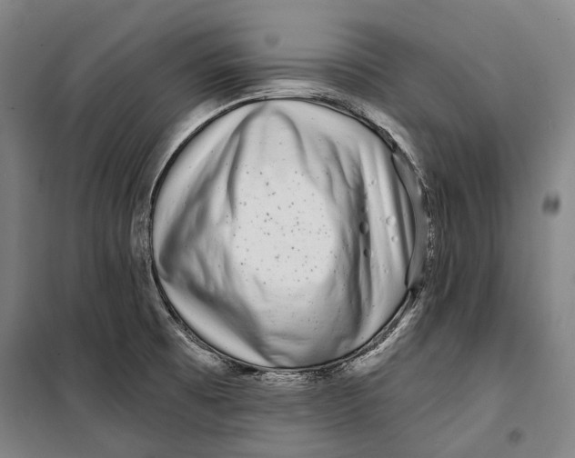 X0000099541473200806061443