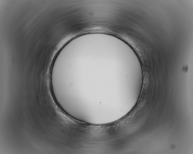 X0000099541474200806061443