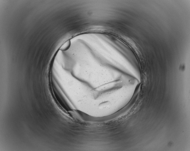 X0000099541475200806061443