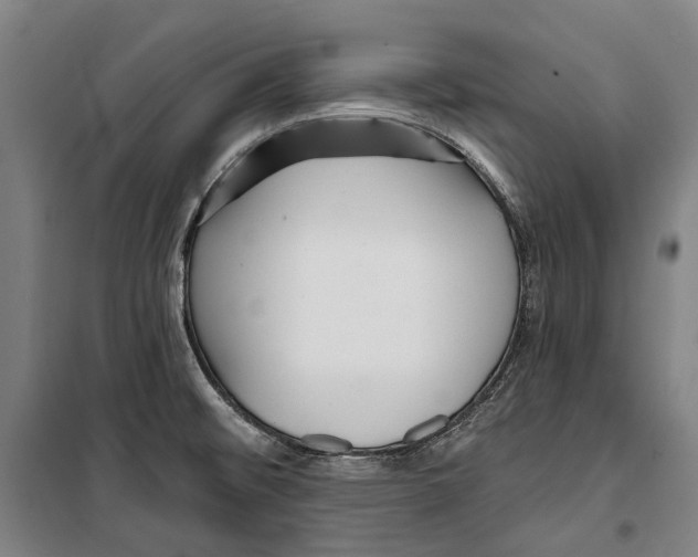 X0000099541476200806061443