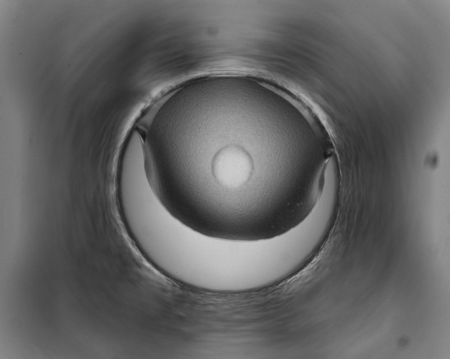 X0000099541477200806061443