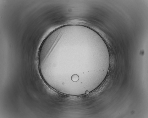 X0000099541478200806061443