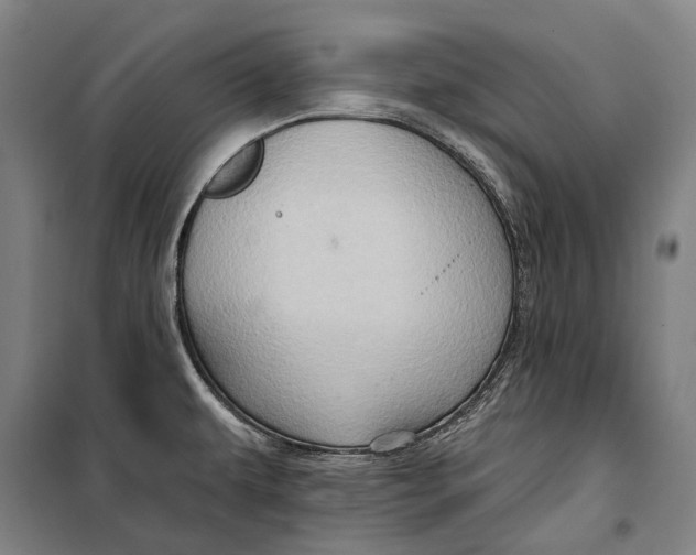 X0000099541479200806061443