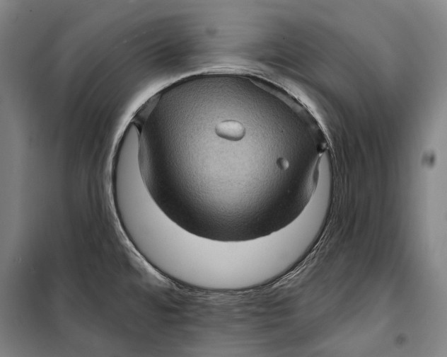 X0000099541480200806061443