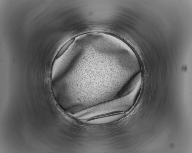 X0000099541481200806061443