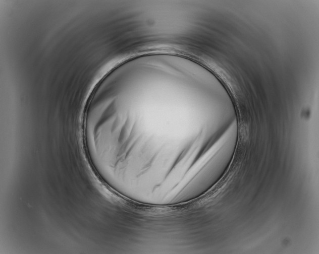 X0000099541482200806061443