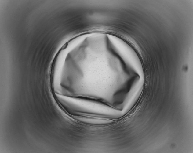 X0000099541483200806061443