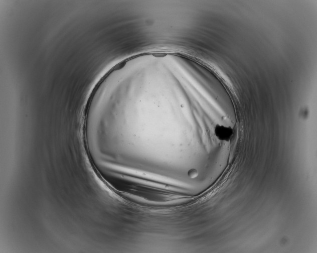 X0000099541484200806061443