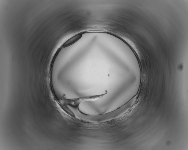 X0000099541485200806061443