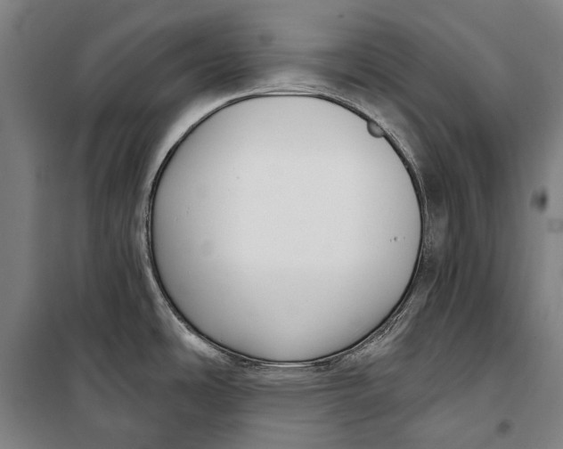 X0000099541486200806061443