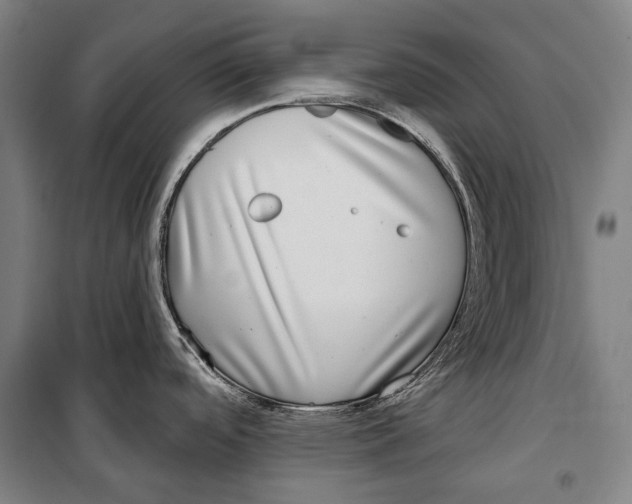 X0000099541488200806061443