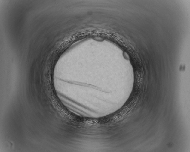 X0000099541489200806061442