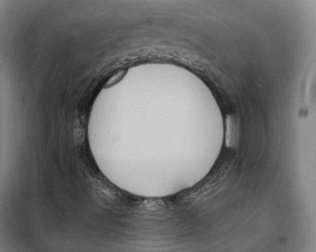 X0000099541491200806061442