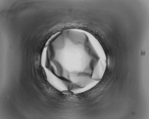 X0000099541492200806061442