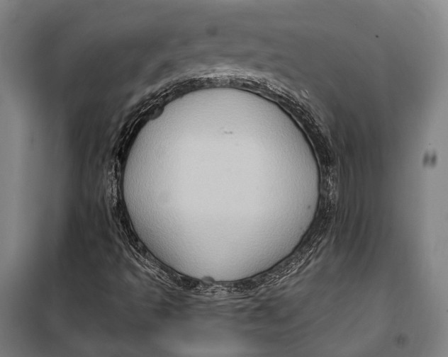 X0000099541493200806061442