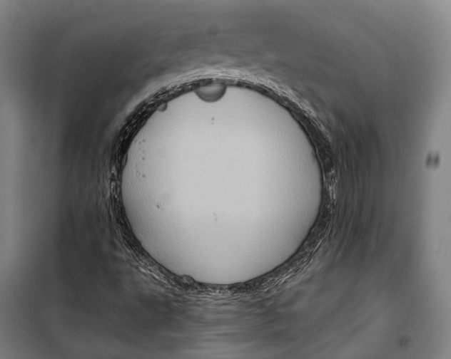 X0000099541495200806061442