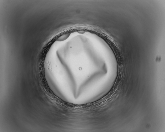 X0000099541496200806061442